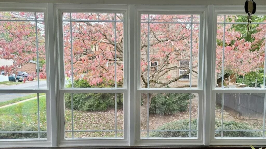 new windows on Steubenville home